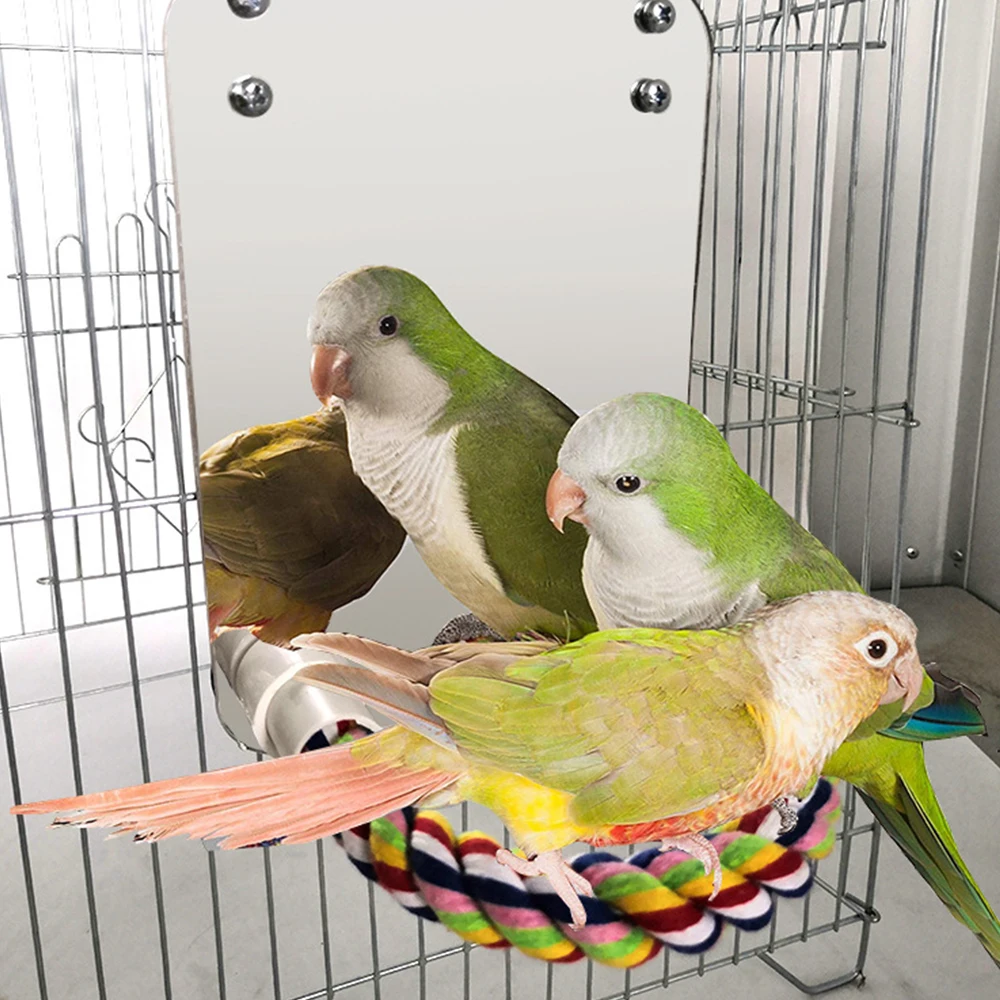 Birds Swing Climb Rope Bird Parrot Toy Chewing Bite Hanging Cage Parrots Mirror Toys Pet Accessories | Дом и сад