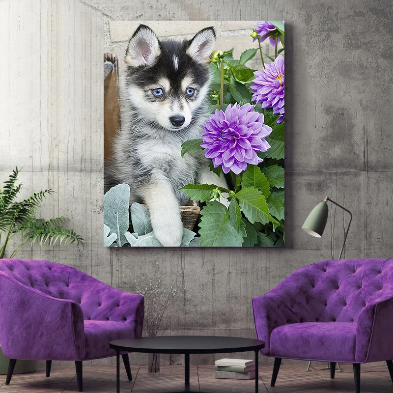 Животное собака кошка живопись по номерам животные белка реалистичные картины