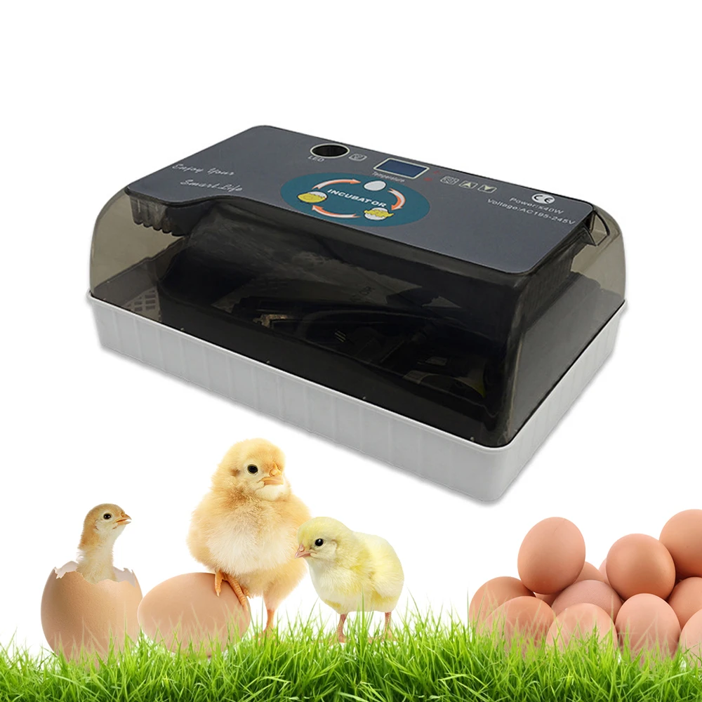 Домашний инкубатор полностью автоматический для яиц|Принадлежности кормления и