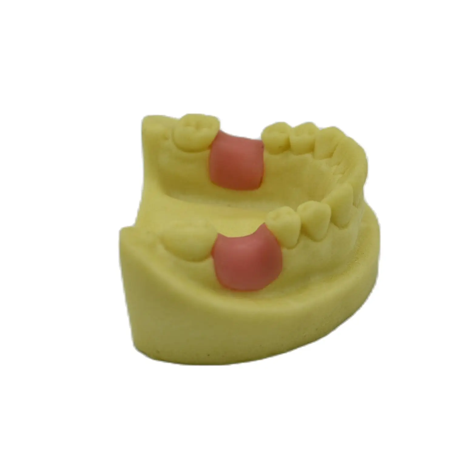 1 шт. Стоматологическая модель для имплантации зубов | Красота и здоровье