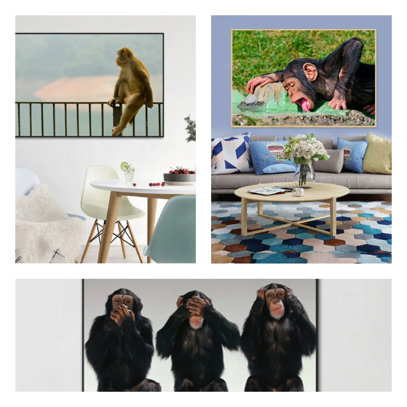 

Wall Art Canvas Painting Monkey Poster and Prints Animal Baby Room Decor Wall Pictures for Modern Living Room Home Decoration