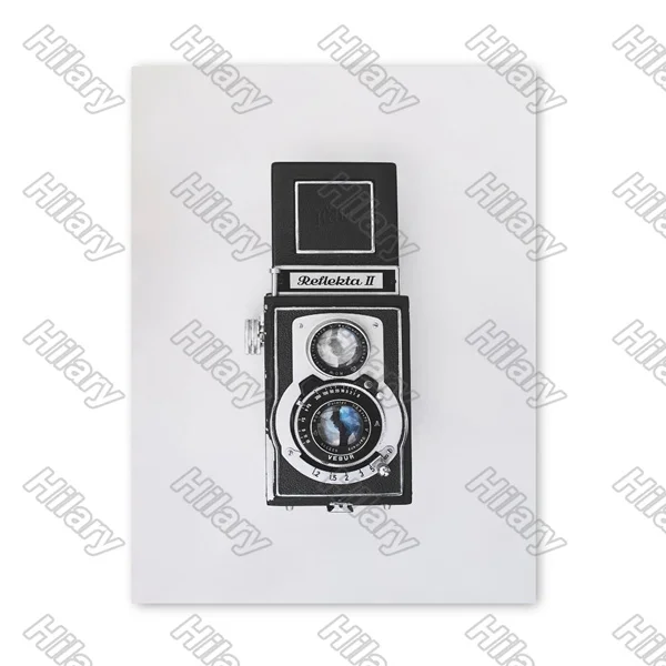 

Poster Old Camera Black Canvas Painting Wall Art Nature Home Decoration for Living Room and Bedroom Simple Frameless Style