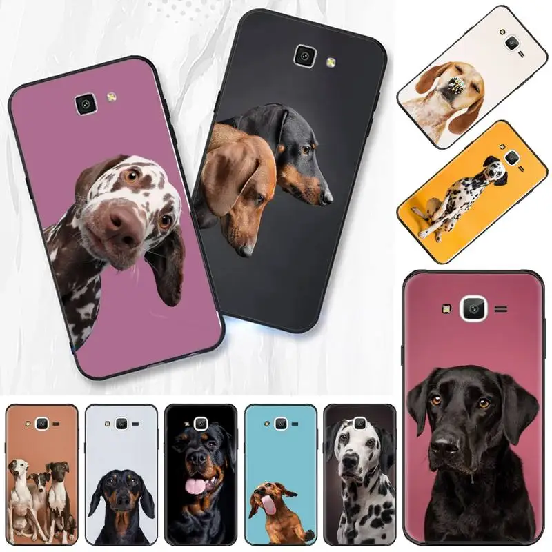 

Cute Dachshund dog Phone Case For Samsung Galaxy J2 J4 J5 J6 J7 J8 2016 2017 2018 Prime Pro plus Neo duo