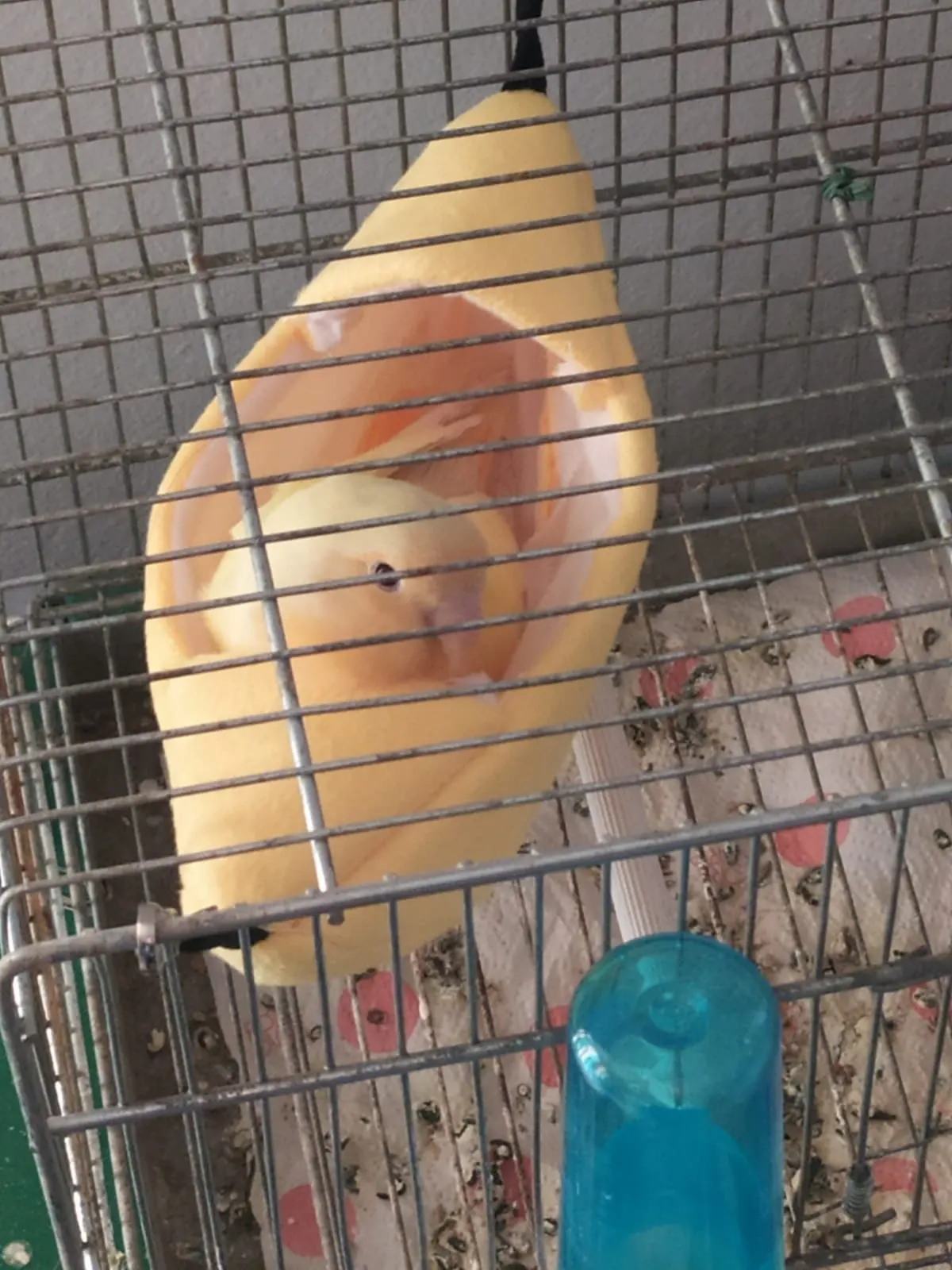 Домик для домашних питомцев гамак в форме лодки крыса попугай подвесные кровати