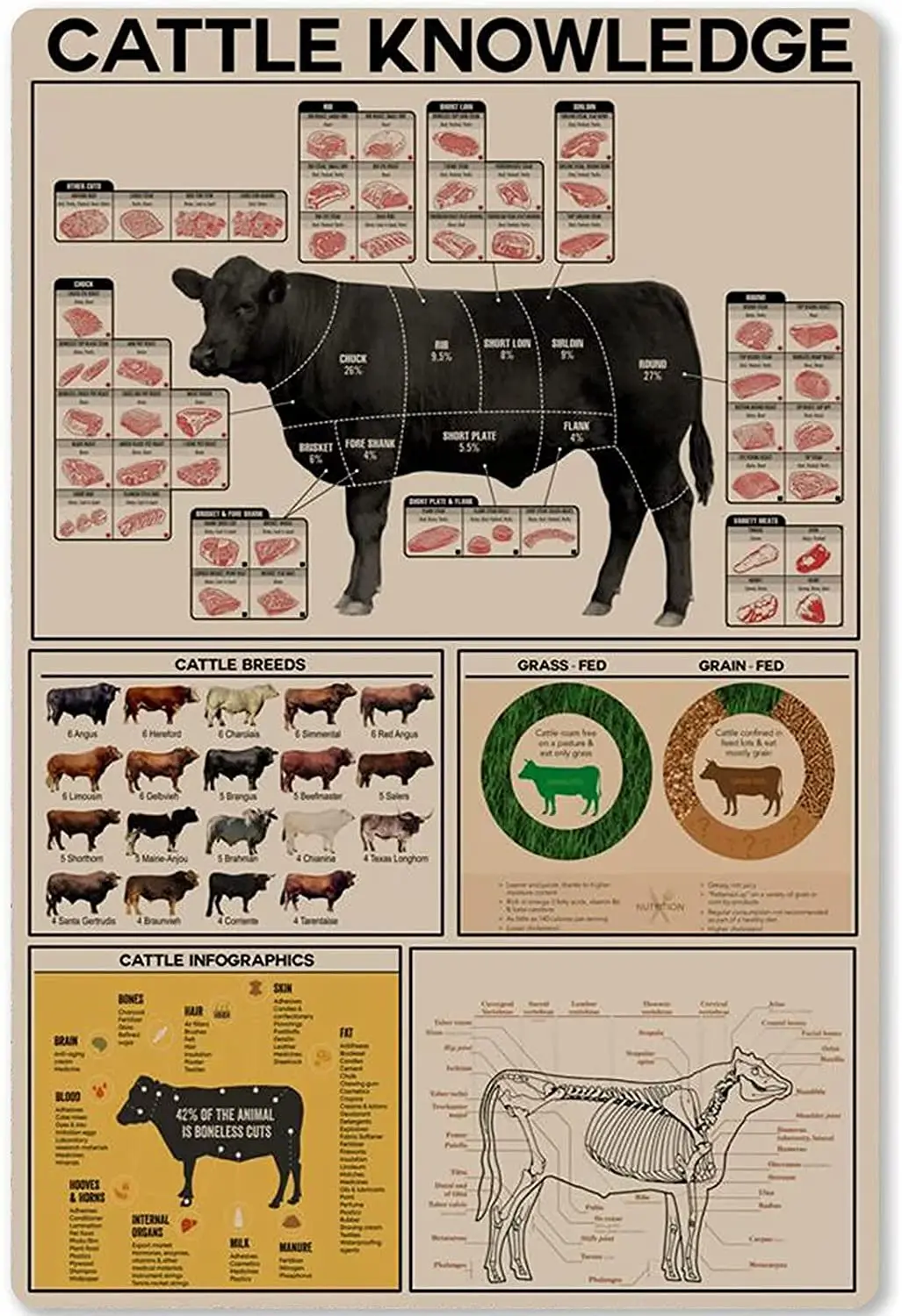 

Cattle Knowledge Metal Tin Sign Cattle Parts Planing Infographic Poster Retro Club Farm Home Kitchen Garage Wall Decoration