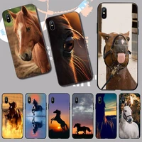 frederik the great beauty horse phone case for iphone 11 12 13 pro xs max 8 7 6 6s plus x 5s se 2020 xr mini