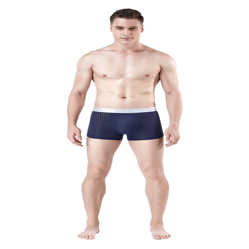 

Men's Panties Male Underpants Man Pack Shorts Boxers Underwear Slip Sexy Underwear Boxershorts Soft Boxers for Men's Panties