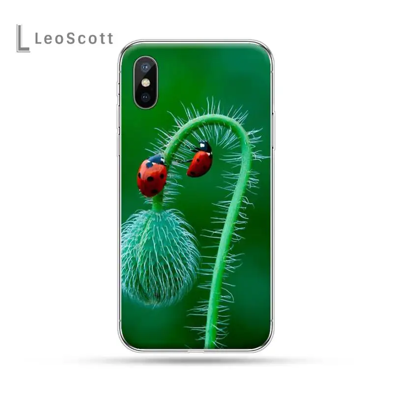 

Four-leaf clover ladybug luxury Phone Case for iPhone 11 12 pro XS MAX 8 7 6 6S Plus X 5S SE 2020 XR Fashion protective shell