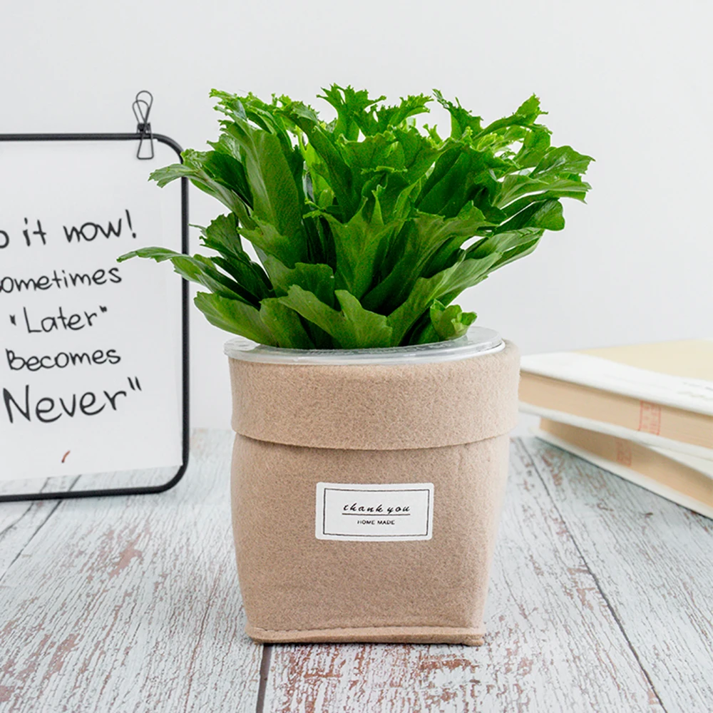 Gray/ Khaki Plant Grow Bag Home Decorations Desktop Flower Basket Fleshy Felt Pot Thicken Garden Pot Garden Supplies