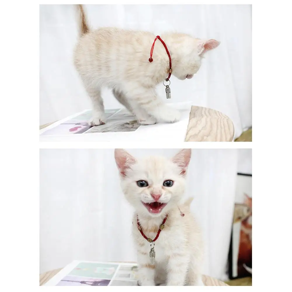 Товары для домашних животных серебристые алюминиевый сплав идентификационные