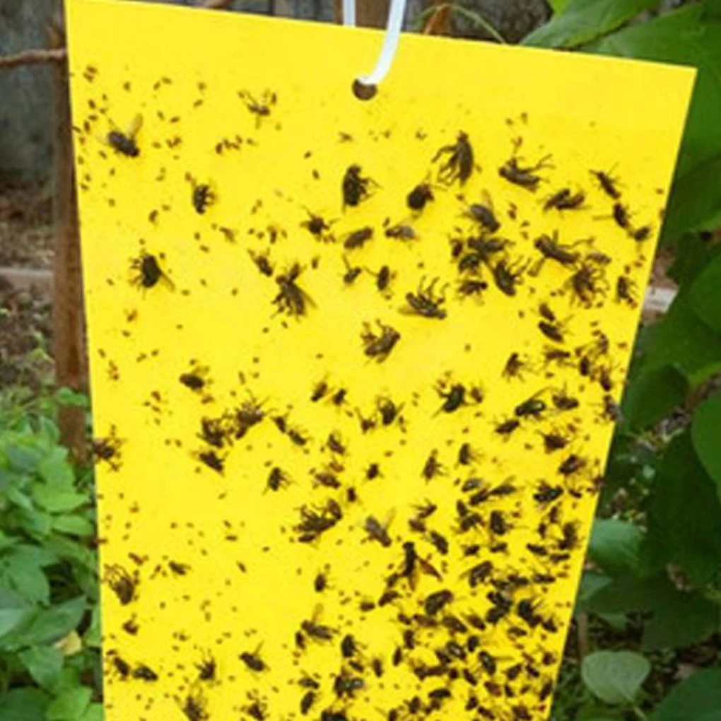 20 шт./компл. сильный ошибки липкая ловушка для небольших насекомых ловли Бумага