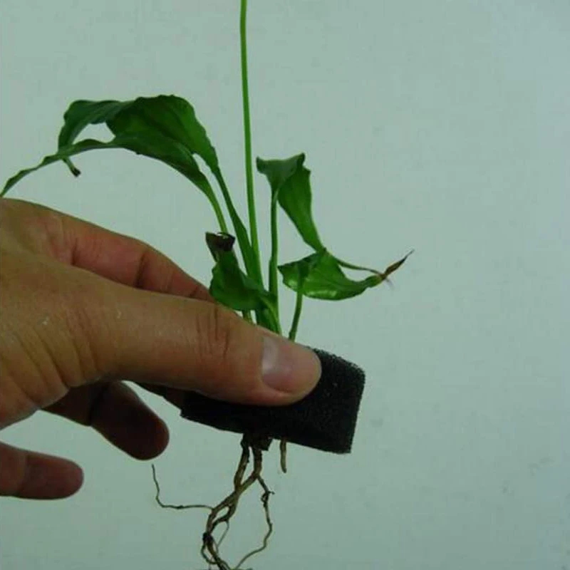 

200Pcs Hydroponics Seedling Sponges Soilless Plant Net Pots Sponge Supplies