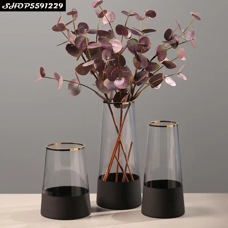 

Transparent Glass Vase Golden Border Flower Arrangement Container Creative Living Room Hydroponic Flower Table Decoration Vase