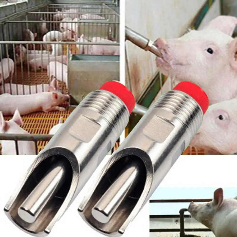 Коллекция 40% года капельная поилка HOTPig HogS1 для овец из нержавеющей стали | Дом и