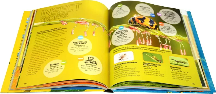 

National Geographic Kids Ultimate Bugopedia STAM Original Children Popular Science Books