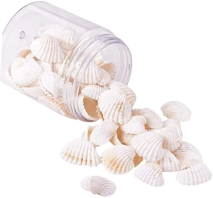 

160 г белые бусины из ракушек без отверстий, крошечные раковины без отверстий, морские ракушки, морские пляжные ракушки, подвески для рукодел...