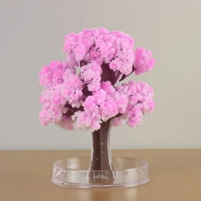 

Paper Magician Magic Sakura Tree Growing Tree Liquid DIY Fun Pink Cherry Blossom Artificial Paper Flower Kids Educational Toys
