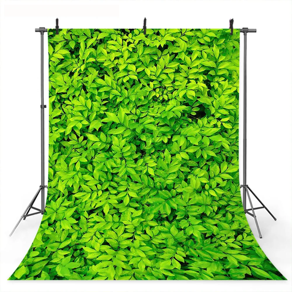 Весенние декорации Фото фон для фотостудии зеленый лист Джунгли Лес