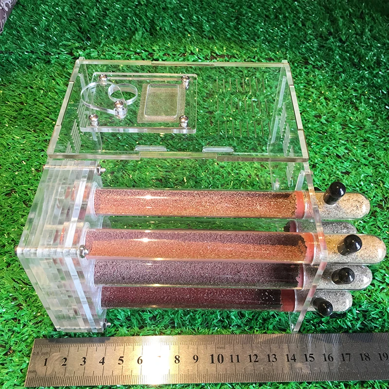 Fazenda de Formiga de Vidro Mesmo com Área de Alimentação Oficina de Fábrica Tubos de Teste Antibacteriano para Animais de Estimação Acrílico Faça Você Ninho Formiga 6 15*40 – 40*14.5 cm