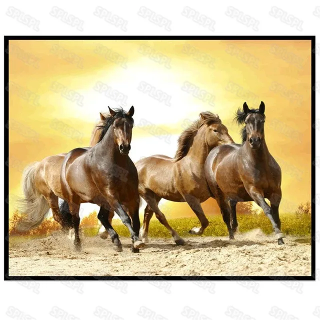 

Diy Diamond Painting Modern Animals Horse Lion Owl Sea Tortoise Cute Color Abstract Kitten Oil Painting Orange Cat Bird Mural