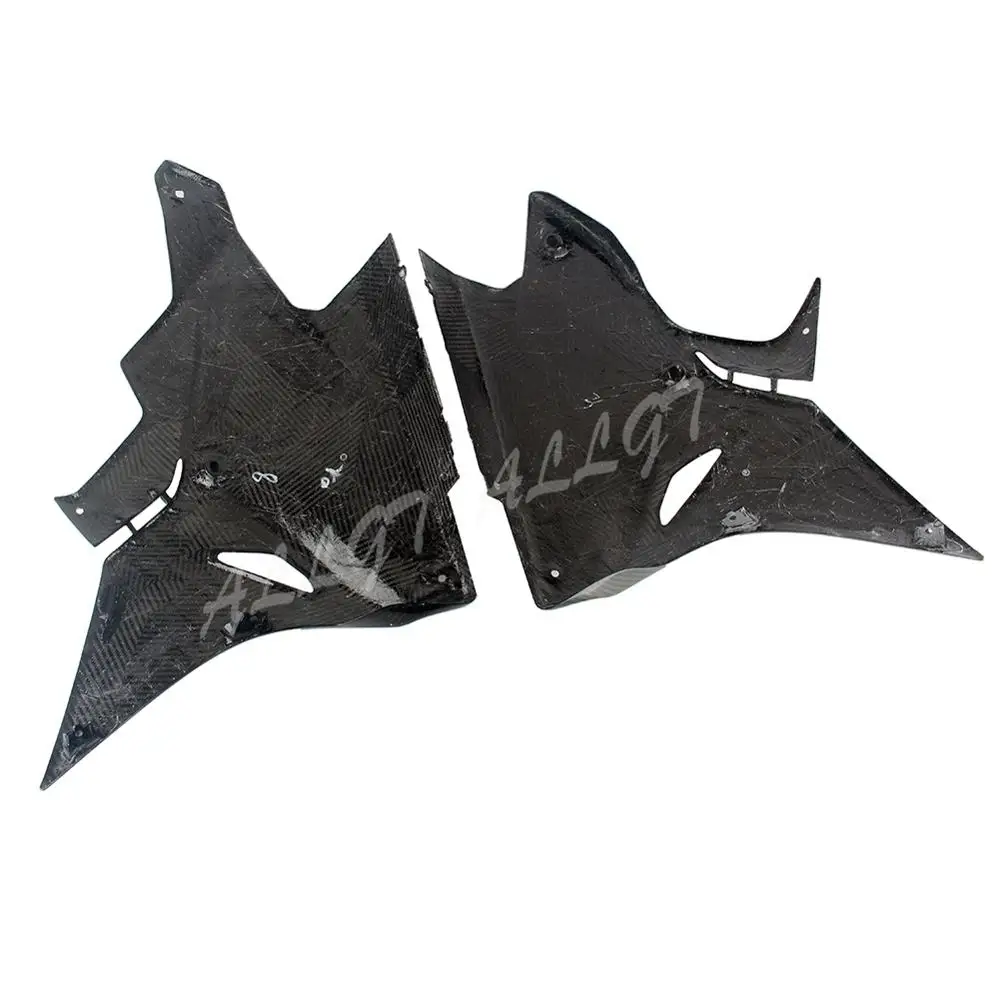 Предварительно Preg кастрюли для нижнего живота из углеродного волокна BMW S1000RR 2017