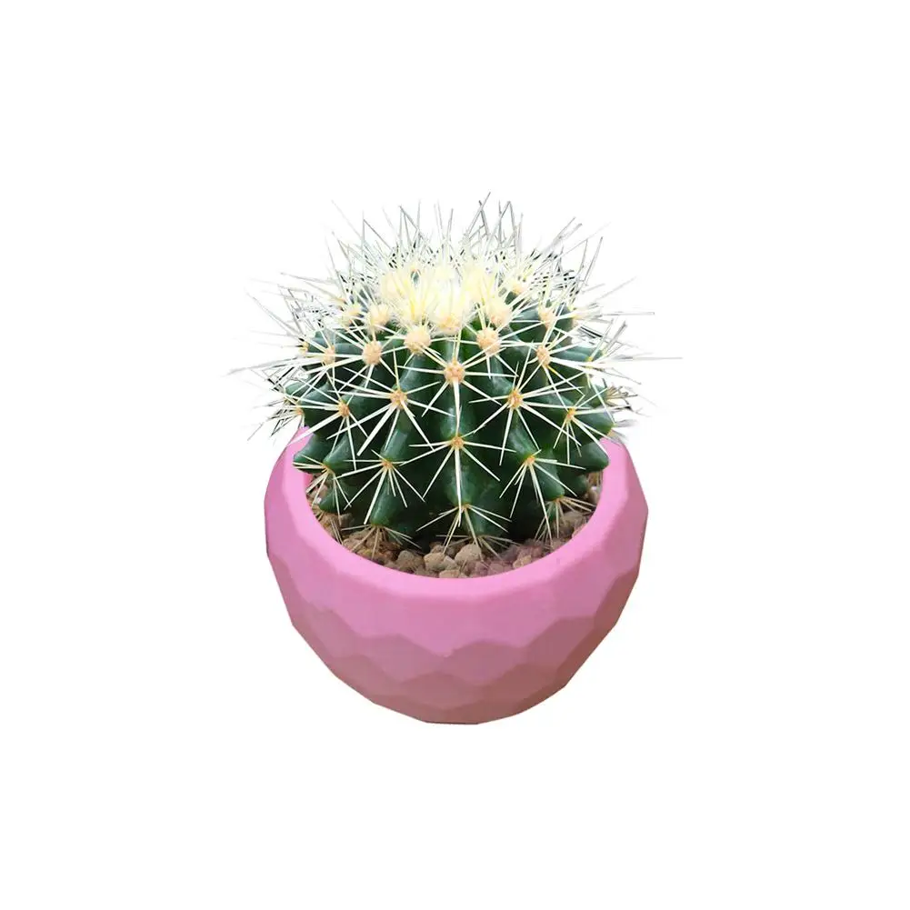 DIY многогранник кактус пластырь для ароматерапии украшения Инструменты тортов