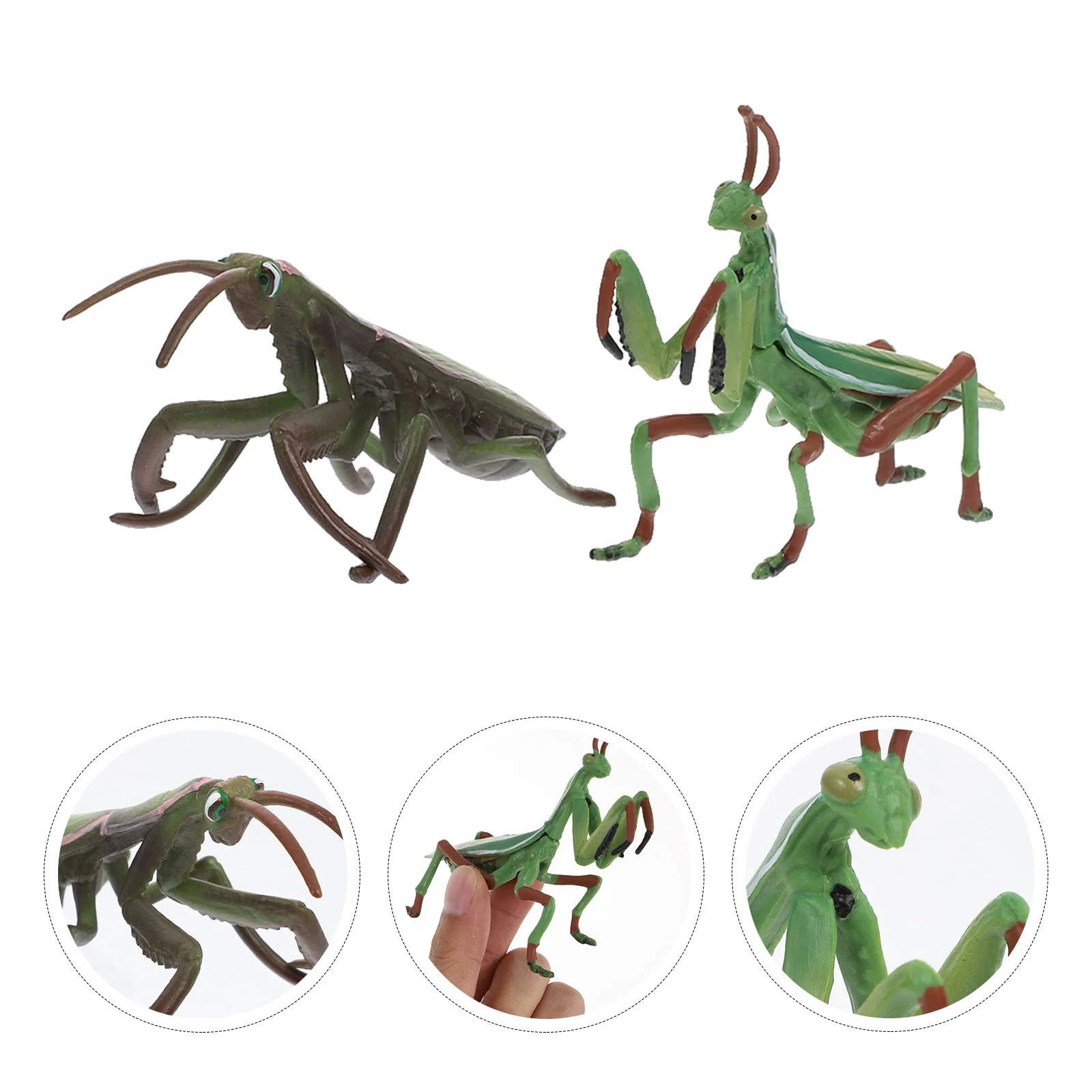 

2Pcs Simulation Mantis Adornments Plastic Mantis Figurine Early Education Prop