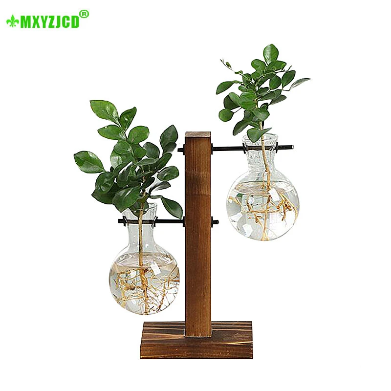 Прозрачная ваза для гидропонной древесины зеленая гидропонная в горшке офисного