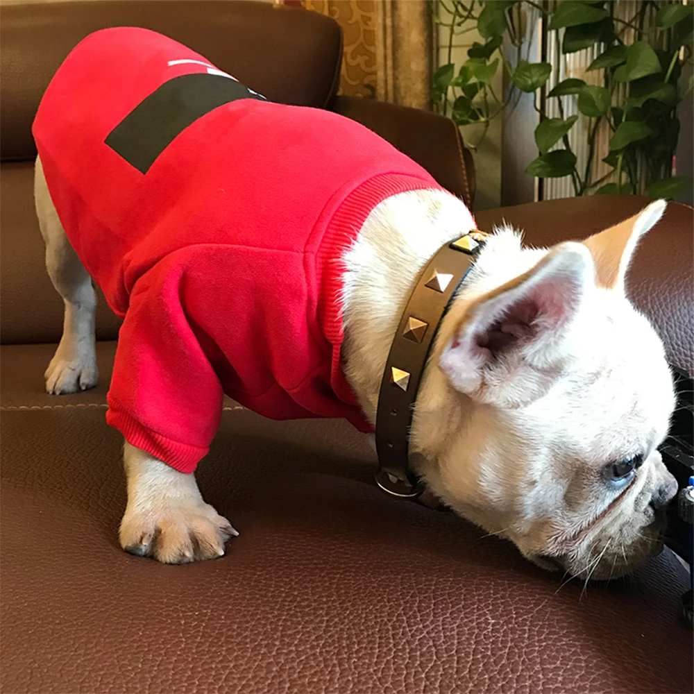 Хлопковые футболки с надписью Чихуахуа футболка рисунком пуделя для женщин