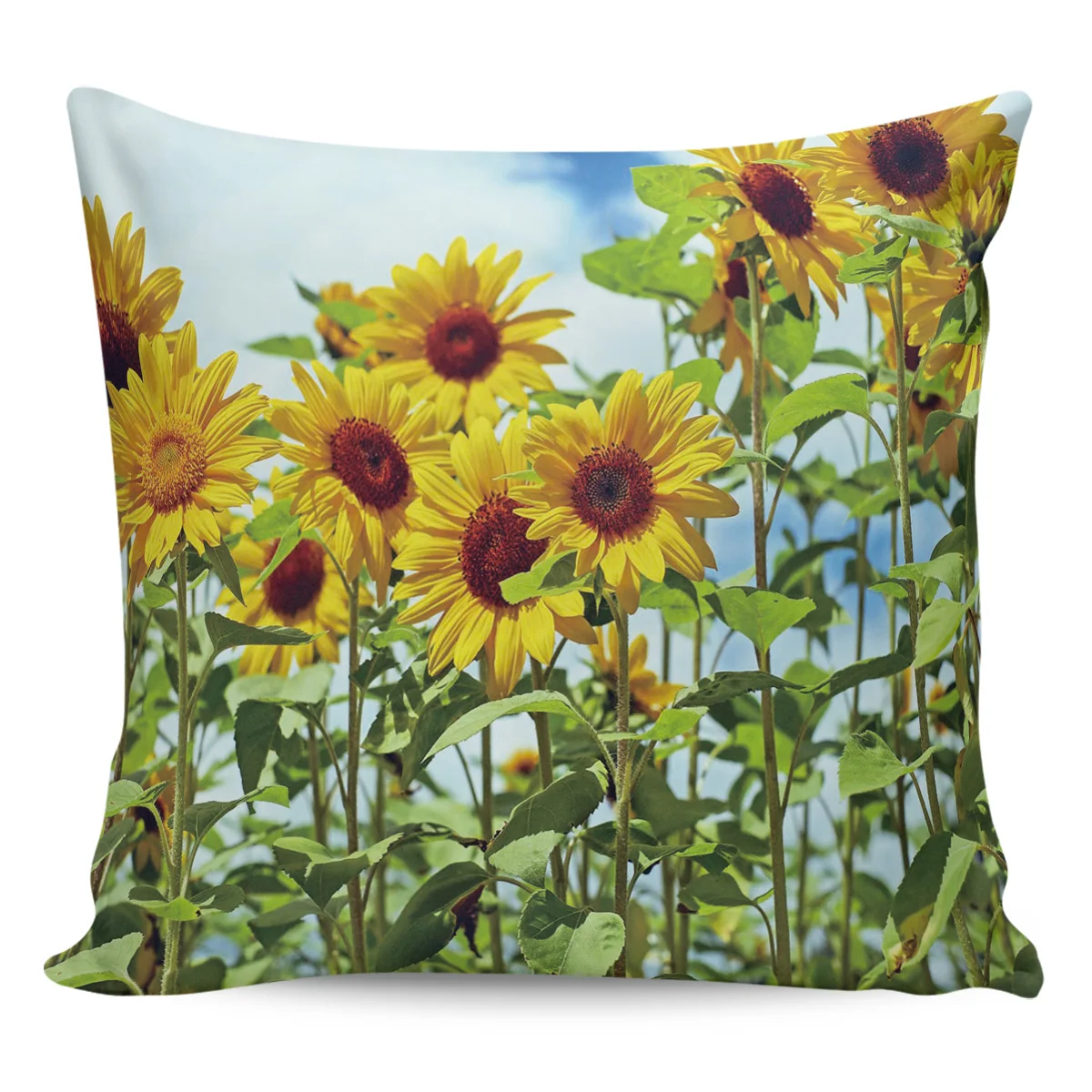 Наволочки с подсолнухами и цветами наволочки рисунком квадратным