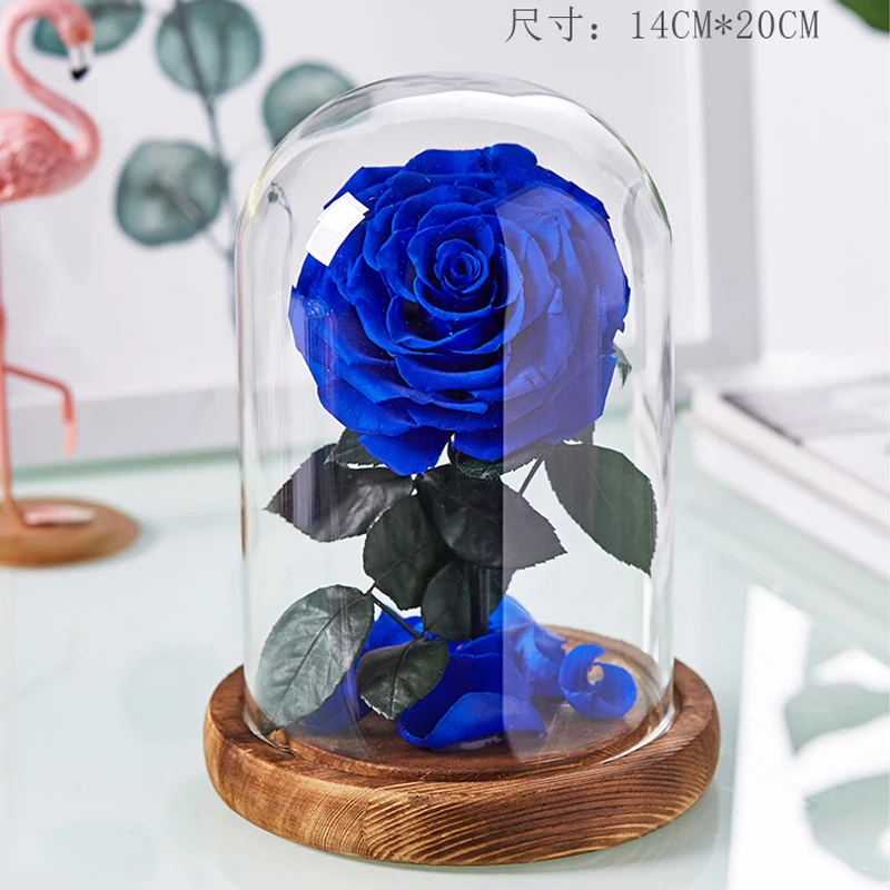 

Newest The Beauty And The Beasts Rose Eternal Red Rose in Glass Forever Flowers Valentine's Gift Christmas Gifts For Girlfriend