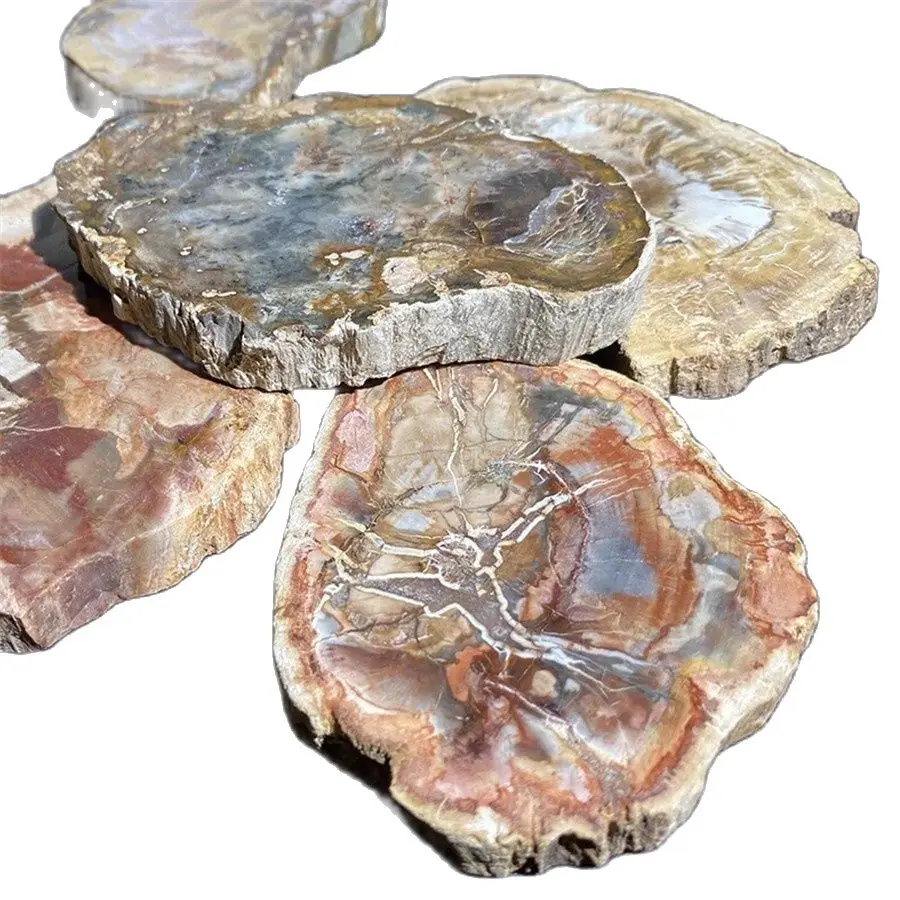 

100-1000g Natural Crystal Woodstone Fossil Tree For Coaster Home Decoration Wooden Cup Cushion