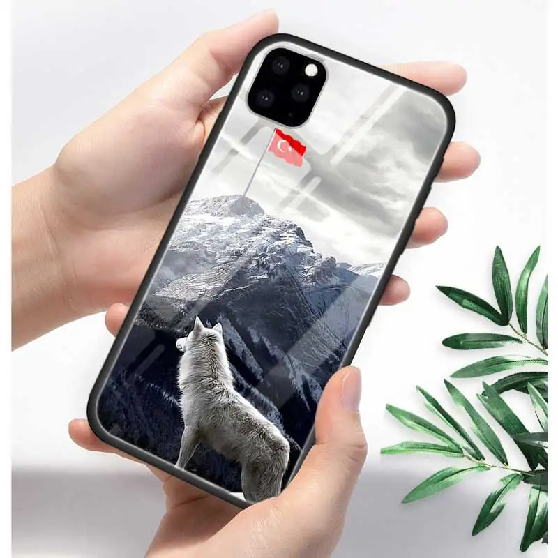 T02 Турция турецкий чехол с флагом для Apple iphone 11 Pro XR XS Max X 7 8 6 6S Plus закаленное стекло+ черный силиконовый чехол для телефона Coque Sac - Цвет: T02