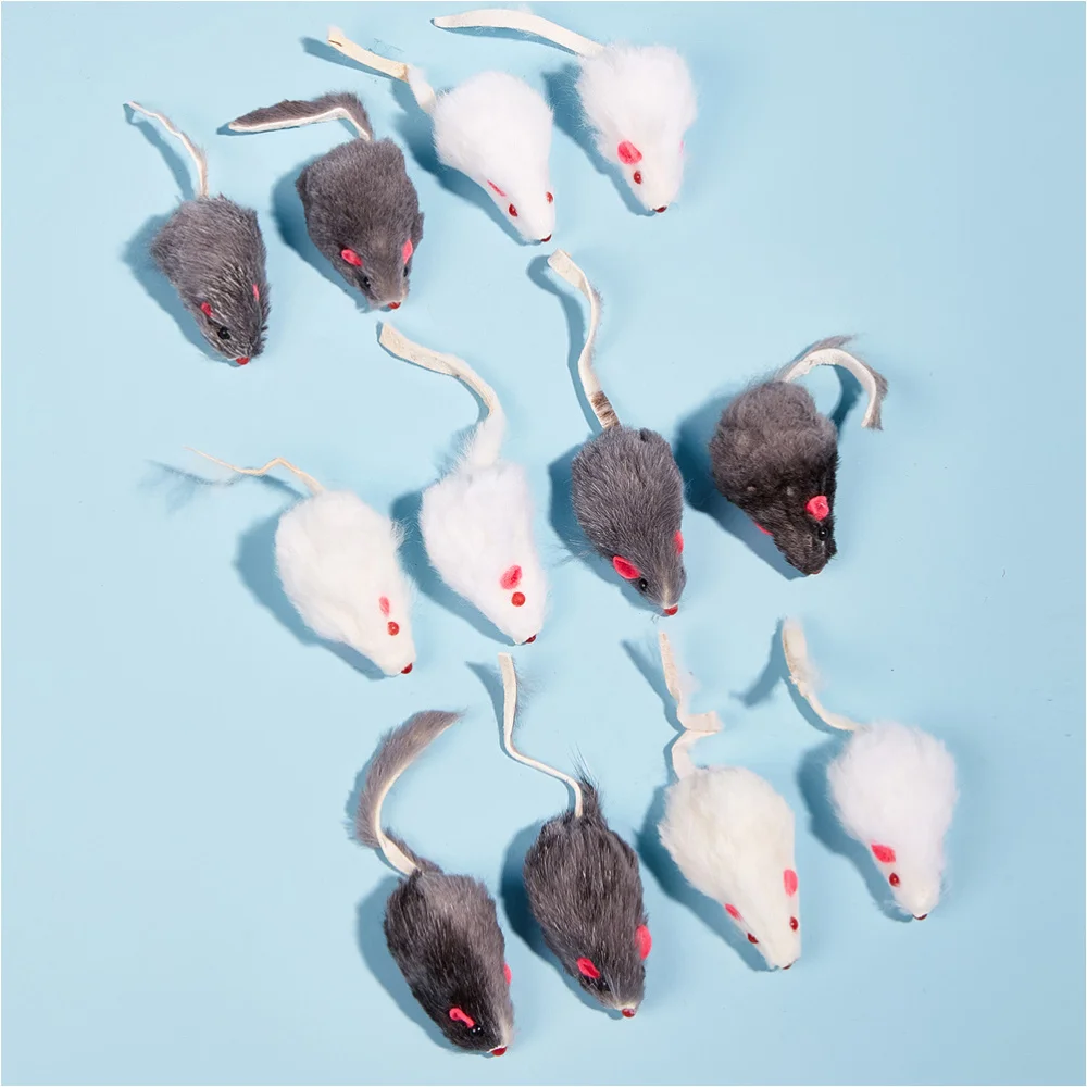 12pcs Simulation Cat Teasing Adorable Interactive Chew | Дом и сад