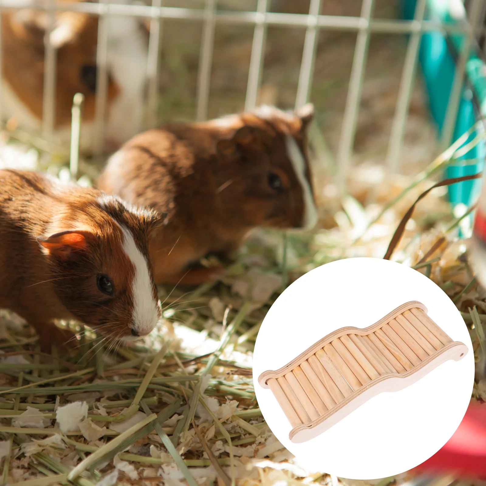 

1 шт., безопасный аксессуар для домашних животных