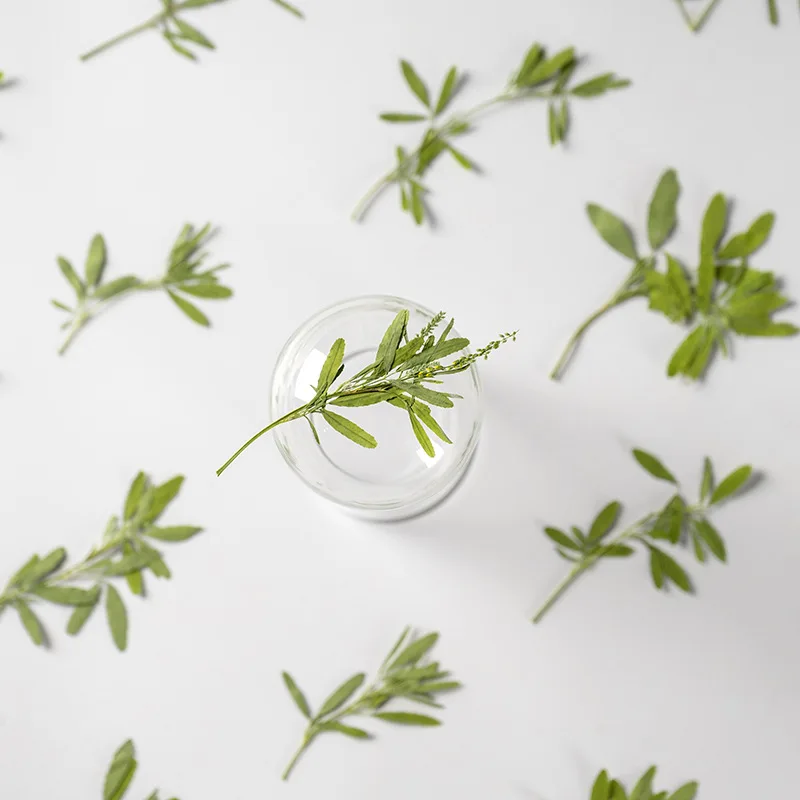 

60pcs Pressed Dried Flower Melilotus officinalis Stem Herbarium Bookmark Prop Jewelry Postcard Invitation Card Phone Case DIY