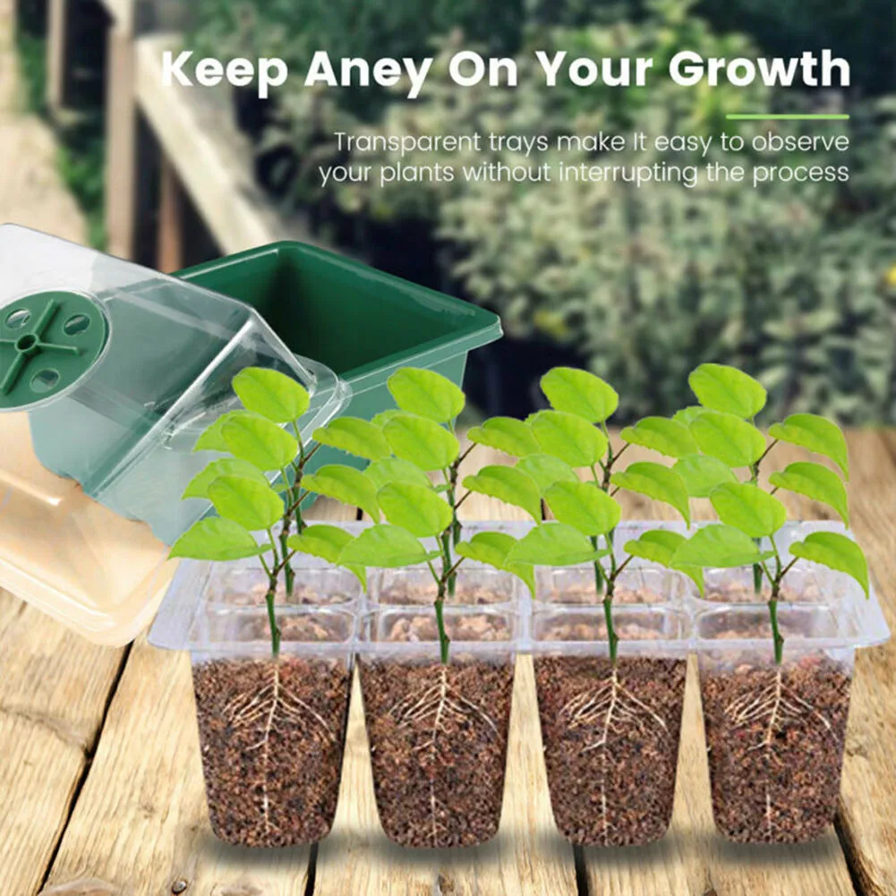 

Propagation Nursery Pots Tomatoes Compartments Courtyard Eggplant Farm