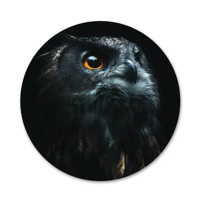 Принт с животными Сова милый значок на булавке декоративные Броши Металлические