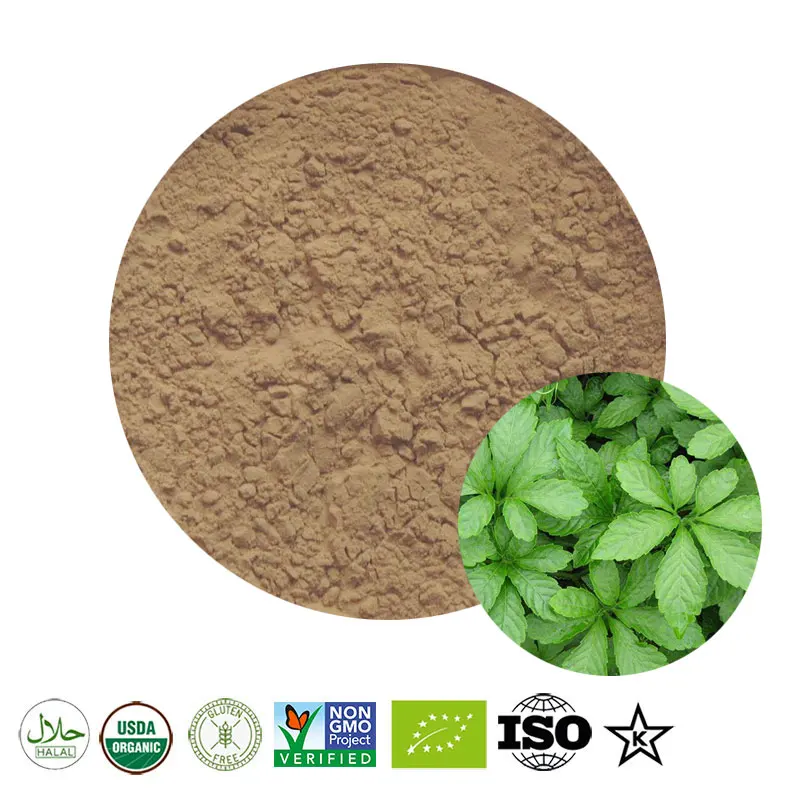 

100% Pure Gynostemma Extract Powder,Anti Cancer,Anti Aging,Enhance Immunity,Protect Liver,Reduce Blood Lipid,Jiaogulan