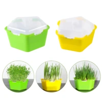 sprouts seedling tray breeding box cat grass planting box hydroponic flower basket sprouts planting box hydroponic set 2pcs