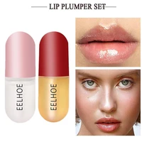 day night ginger mint lip plumping liquid plump and increase nourishing and moisturizing lip set box lip plumping lip enhancer