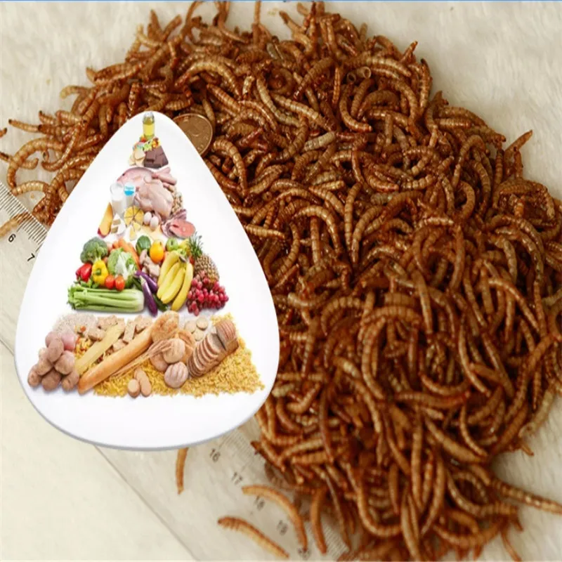 2020 сушеный аквариум Mealworm пруд рептилии дикая птица еда хомяк семена птиц ящерица