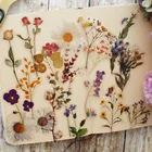 38 шт., прозрачные наклейки с изображением цветов и фруктов для скрапбукинга, этикетки для упаковки подарков