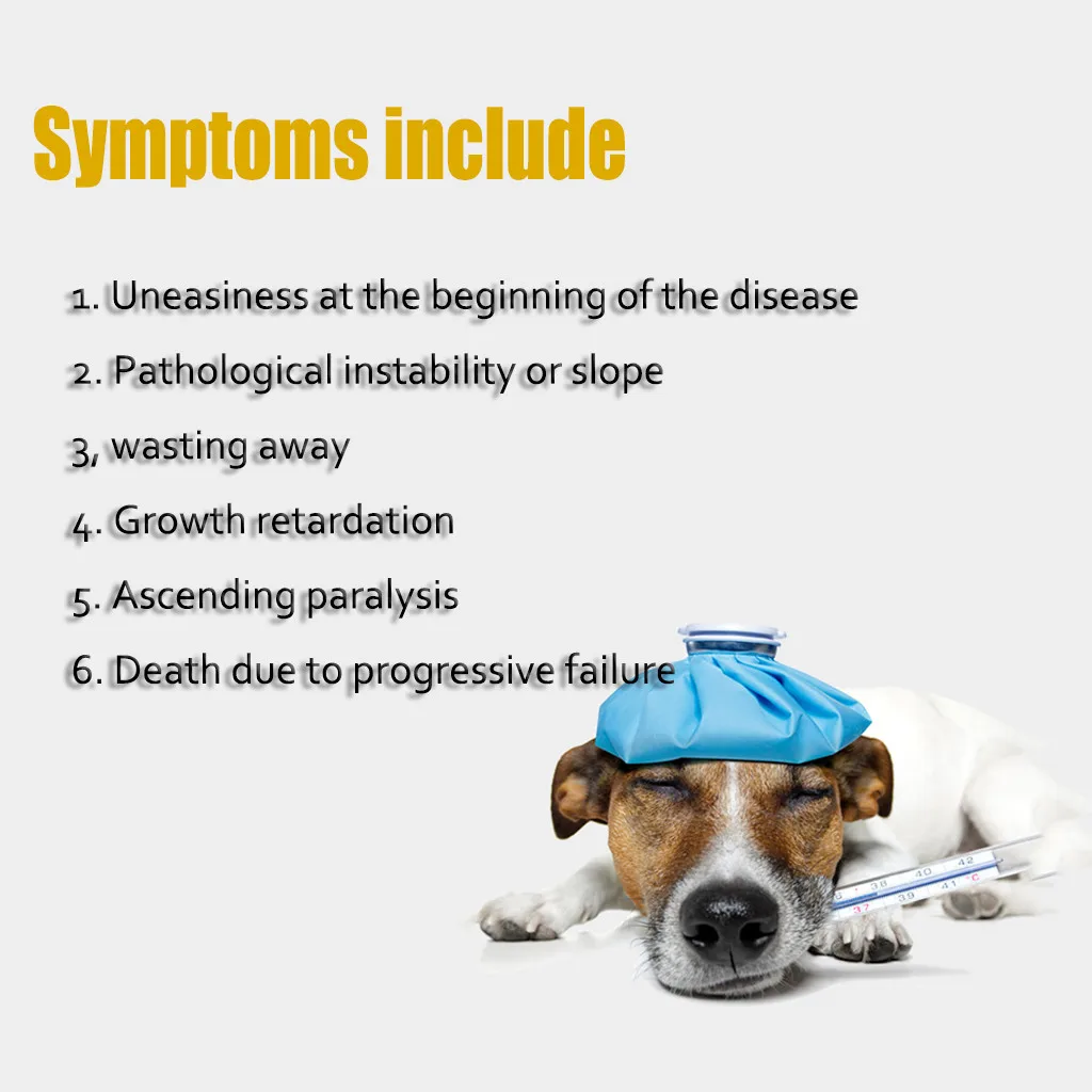 Удаляет блох и клещей ошейник собаки кошки до 8 месяцев от воротник M код периметр
