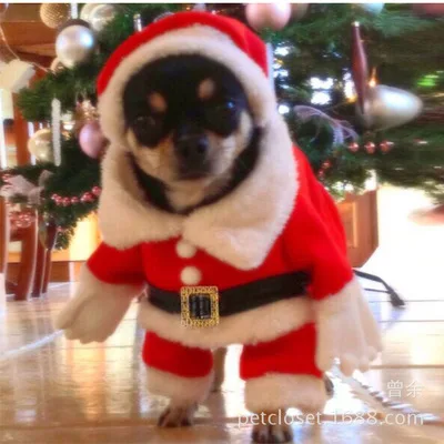 

Christmas Cat Costumes Funny Santa Claus Clothes For Small Cats Dogs Xmas New Year Pet Cat Clothing Winter Kitty Kitten Outfits