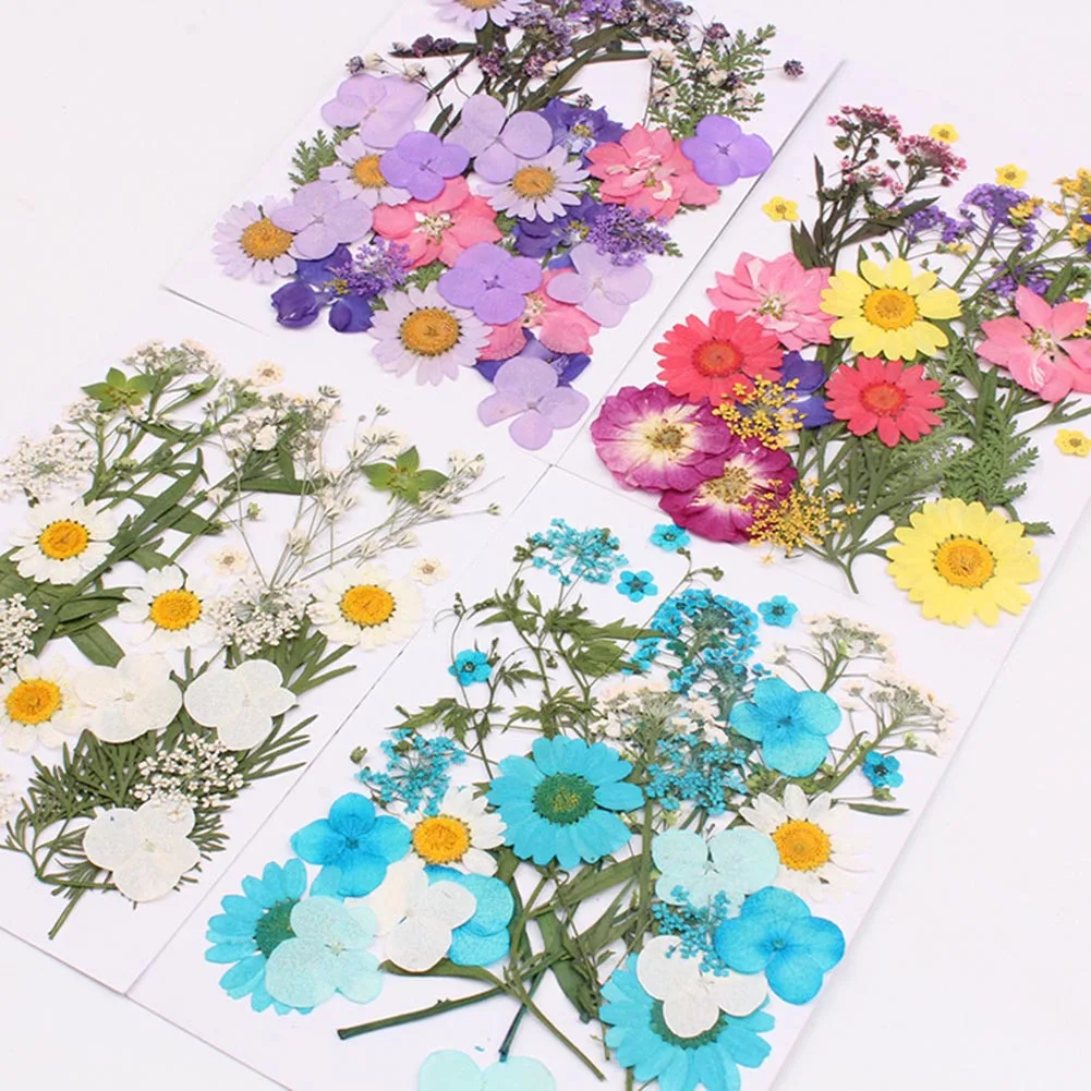 

Pressed Flower Mixed Organic Dried Flowers DIY Art Floral Decors Collection Gift DFDS889