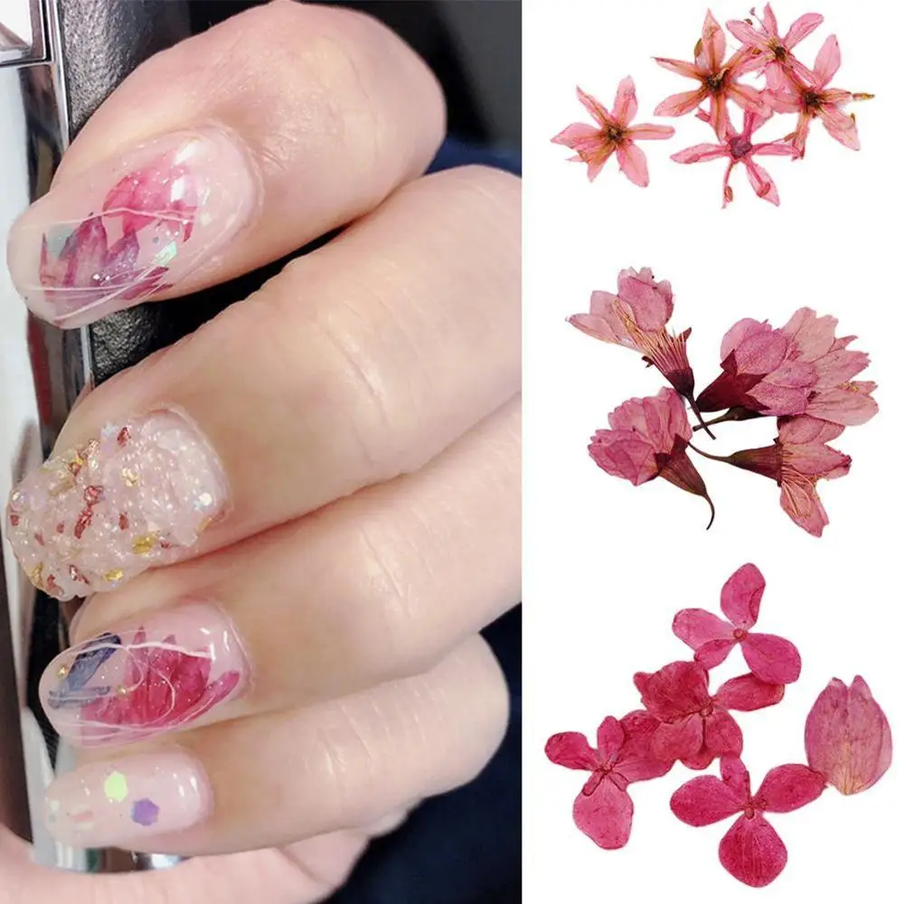 Смешанные сушеные цветы украшения для ногтей ювелирные изделия натуральные