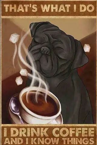 

Metal Sign Pug That's What I Do Tin Signs New Year Easter Wall Decoration Bar Pub Family Cafe Signs Men Cave Best Gifts for Fr