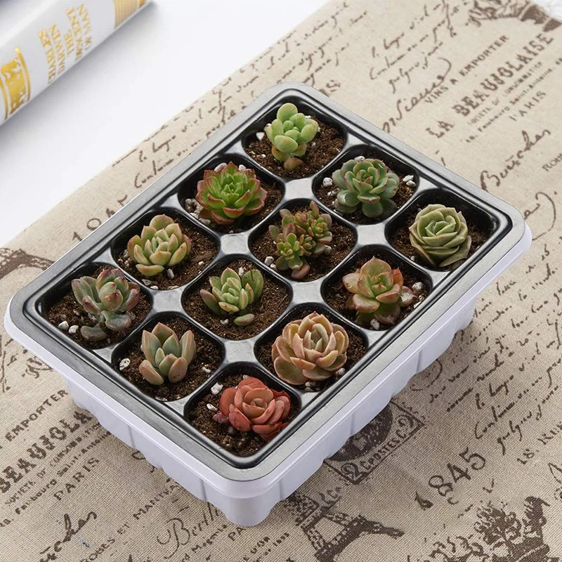 

10 Sets Seed Trays 120 Cells Seedling Starter Tray Garden Plant Germination Kit Seed Starting Tray with e and Base, Hand Tool