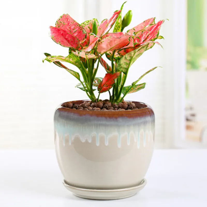 

Kiln Change Flower pot Ceramic Large Extra Large Chlorophytum with Tray Creative Banyan Tree Simple Personality Rich Tree Pot